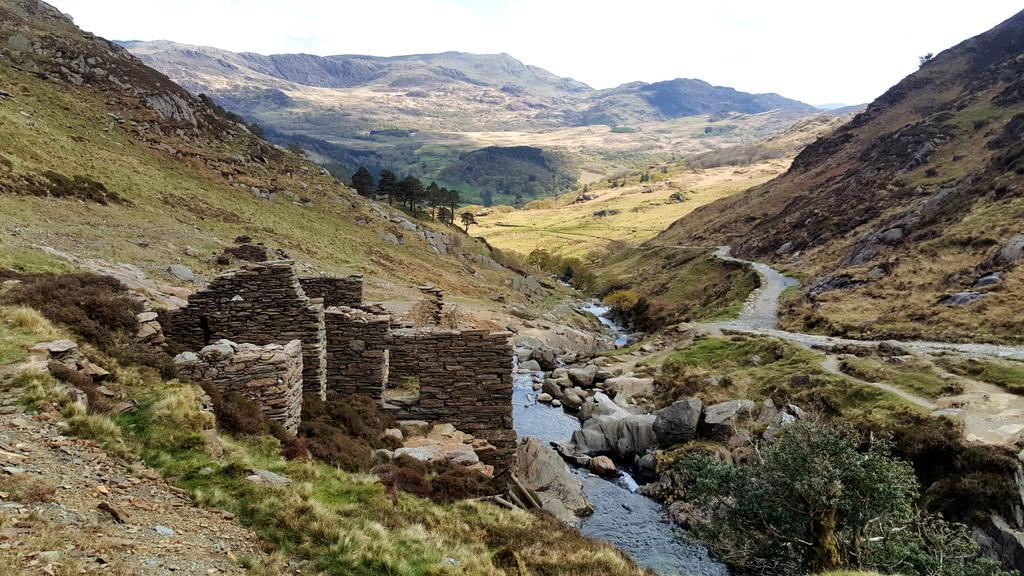 Bod Gwynedd Отель типа 