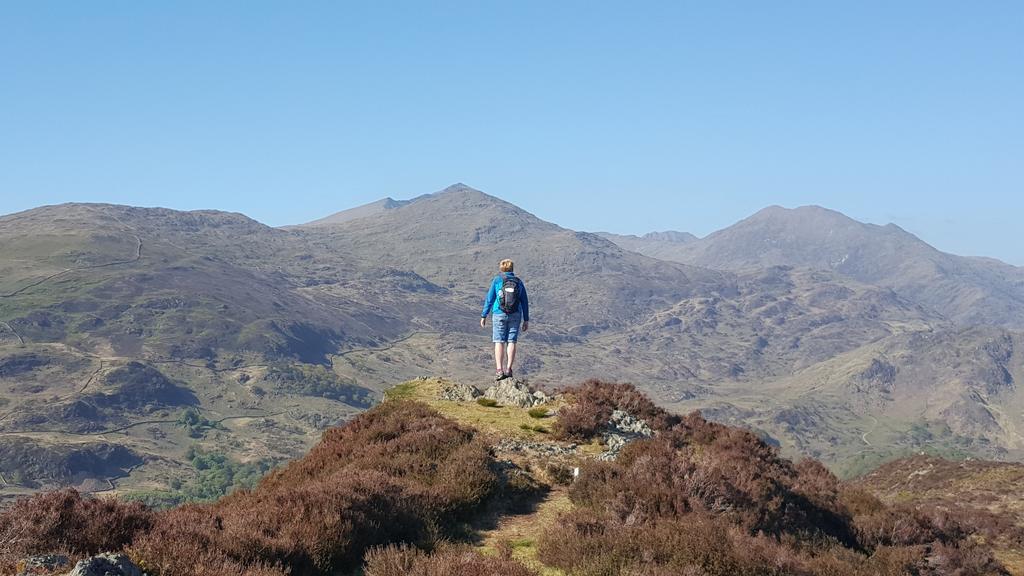 Bod Gwynedd
